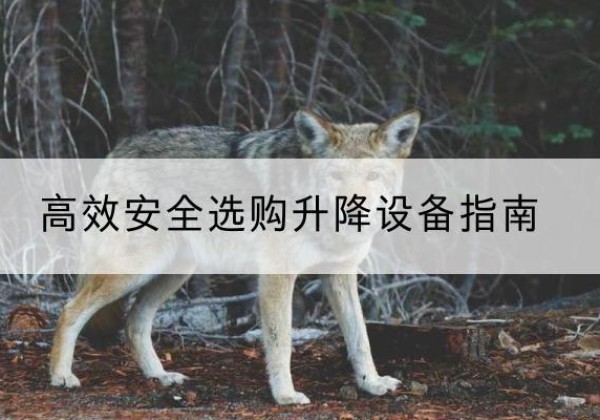 播州升降货梯厂家推荐-*安全选购升降设备指南