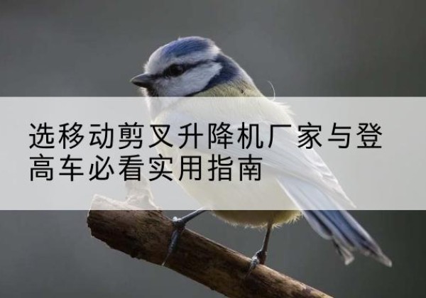 播州电动升降机厂家-选移动剪叉升降机厂家与登高车必看实用指南