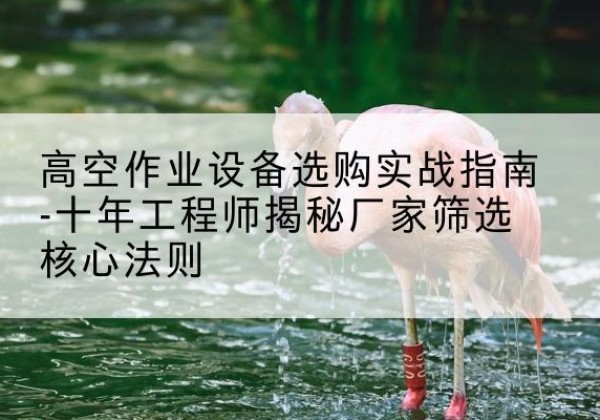 播州剪叉式升降机厂家-高空作业设备选购实战指南-十年工程师揭秘厂家筛选核心法则